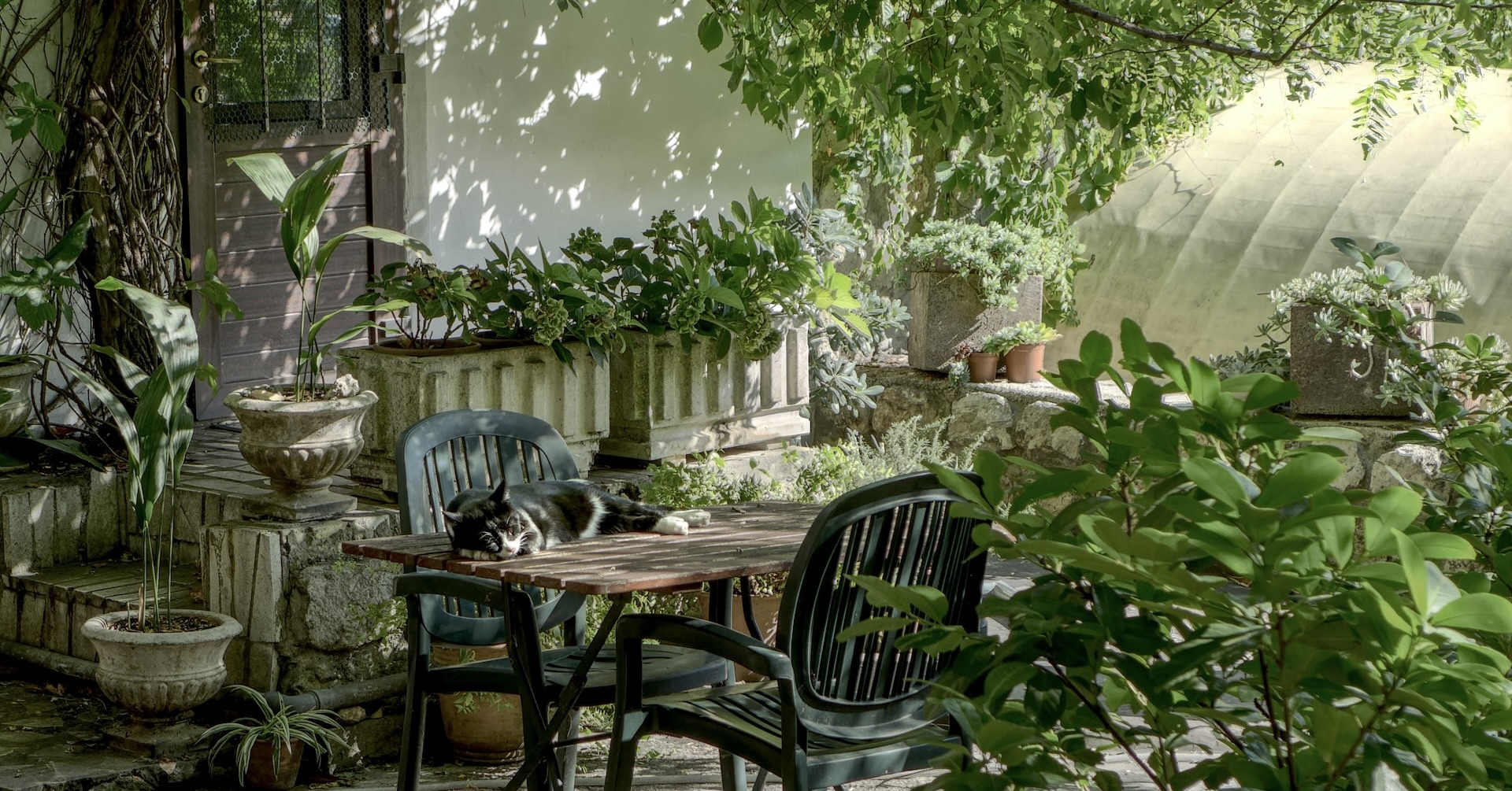 7 Great Ideas for Decorating Your Garden