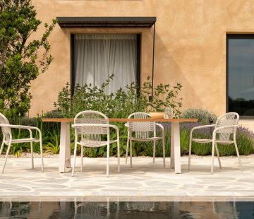 Cleo Dining Chair