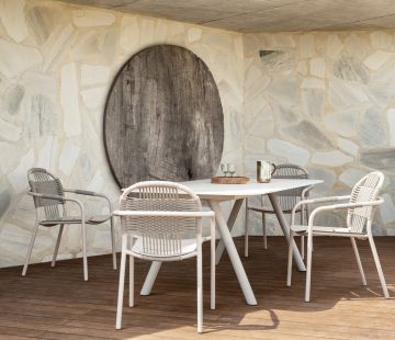 Cleo Dining Chair